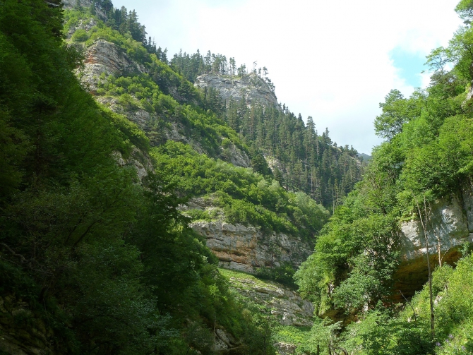 Детский поход в Лагонаки (Путешествия, дети, маи, Цица, оштен)