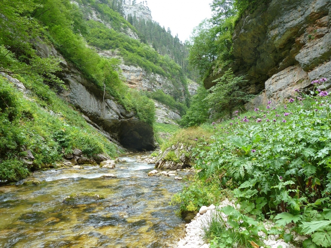 Детский поход в Лагонаки (Путешествия, дети, маи, Цица, оштен)