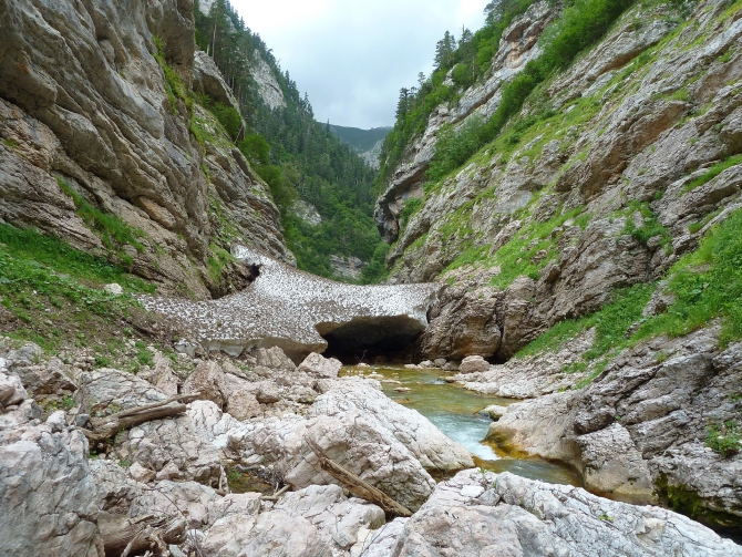 Детский поход в Лагонаки (Путешествия, дети, маи, Цица, оштен)