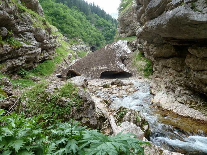 Детский поход в Лагонаки (Путешествия, дети, маи, Цица, оштен)