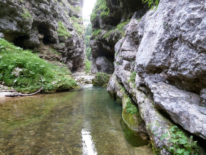 Детский поход в Лагонаки (Путешествия, дети, маи, Цица, оштен)