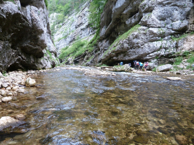 Детский поход в Лагонаки (Путешествия, дети, маи, Цица, оштен)