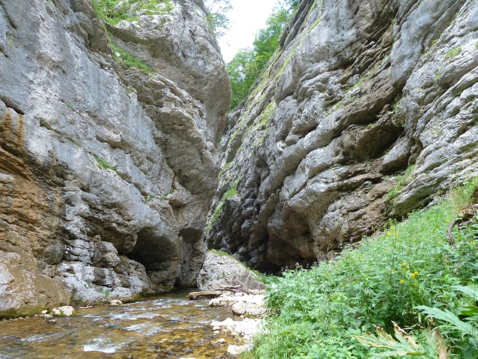 Детский поход в Лагонаки (Путешествия, дети, маи, Цица, оштен)