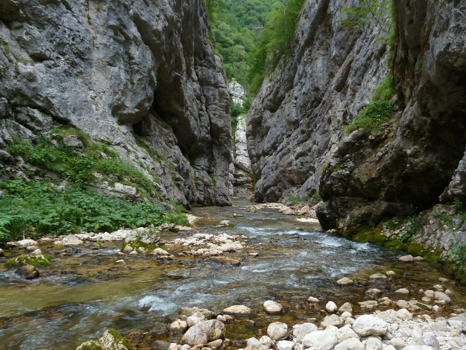Детский поход в Лагонаки (Путешествия, дети, маи, Цица, оштен)