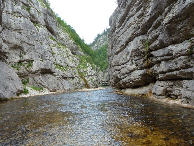Детский поход в Лагонаки (Путешествия, дети, маи, Цица, оштен)