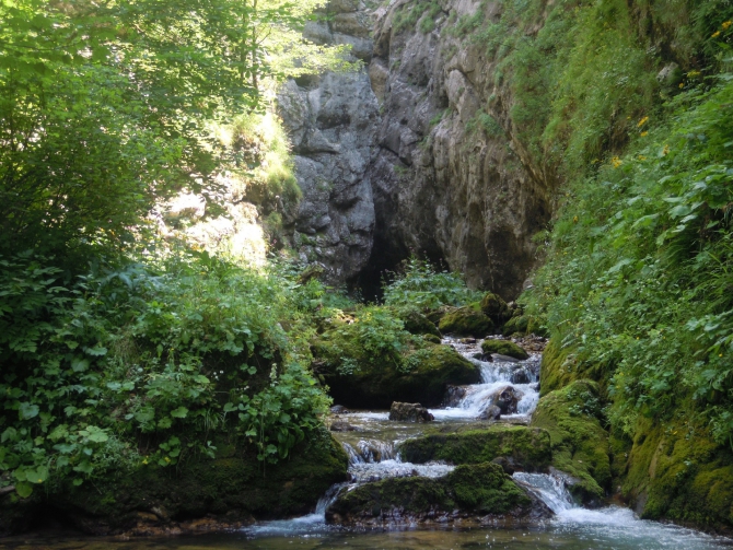 Детский поход в Лагонаки (Путешествия, дети, маи, Цица, оштен)