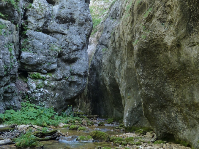 Детский поход в Лагонаки (Путешествия, дети, маи, Цица, оштен)