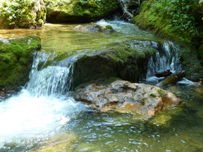 Детский поход в Лагонаки (Путешествия, дети, маи, Цица, оштен)