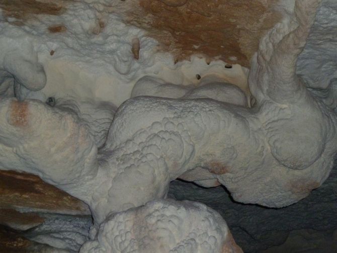 Детский поход в Лагонаки (Путешествия, дети, маи, Цица, оштен)