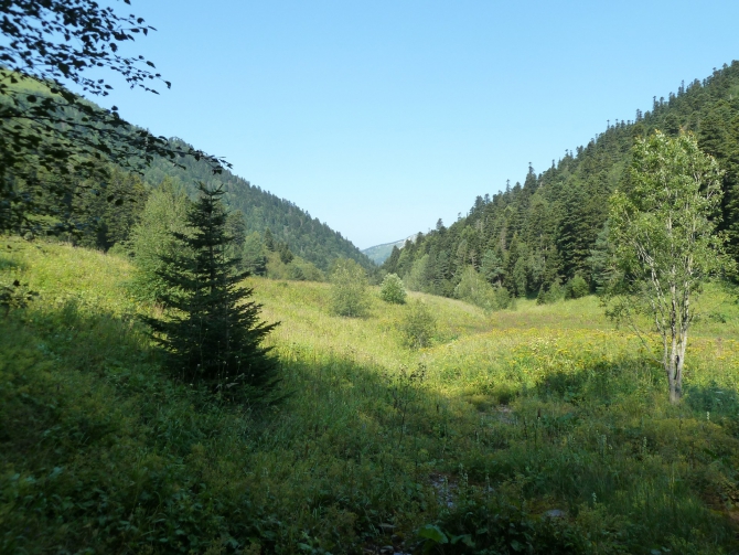 Детский поход в Лагонаки (Путешествия, дети, маи, Цица, оштен)
