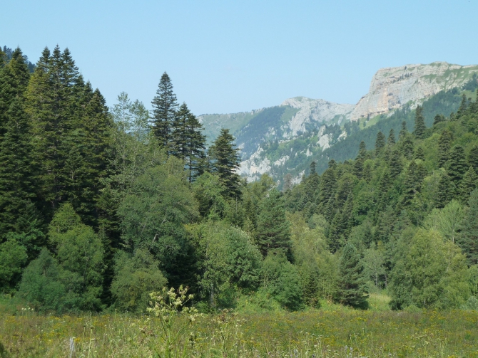 Детский поход в Лагонаки (Путешествия, дети, маи, Цица, оштен)