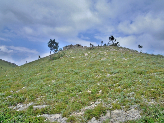 Детский поход в Лагонаки (Путешествия, дети, маи, Цица, оштен)
