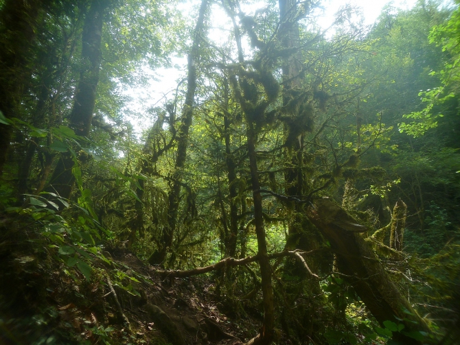 Детский поход в Лагонаки (Путешествия, дети, маи, Цица, оштен)