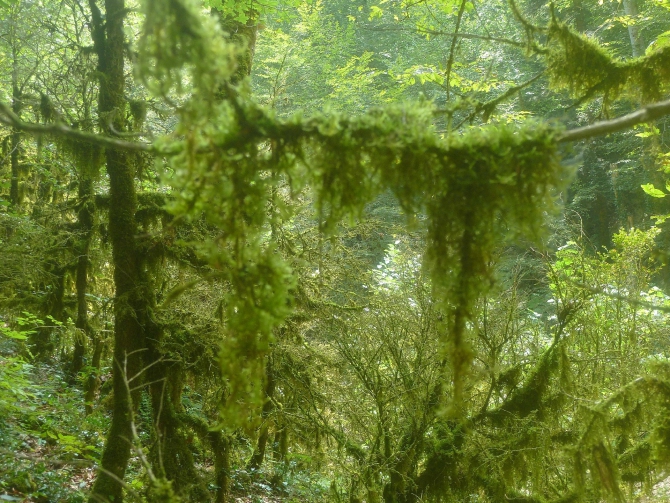 Детский поход в Лагонаки (Путешествия, дети, маи, Цица, оштен)