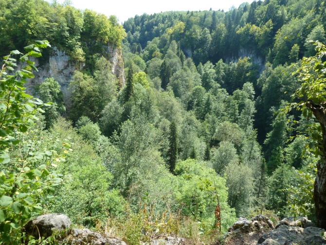 Детский поход в Лагонаки (Путешествия, дети, маи, Цица, оштен)