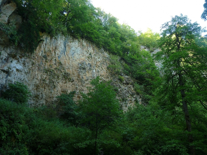 Детский поход в Лагонаки (Путешествия, дети, маи, Цица, оштен)