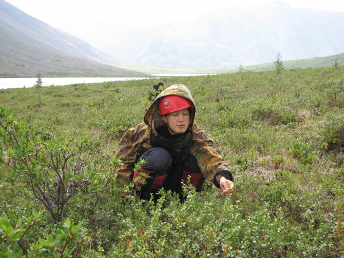 Кодар-р-р!!! или как "горники" в первый раз ходили в пешеходную 3ку (Путешествия, такт, пешеходный туризм, такт, пешеходный туризм, такт, пешеходный туризм)