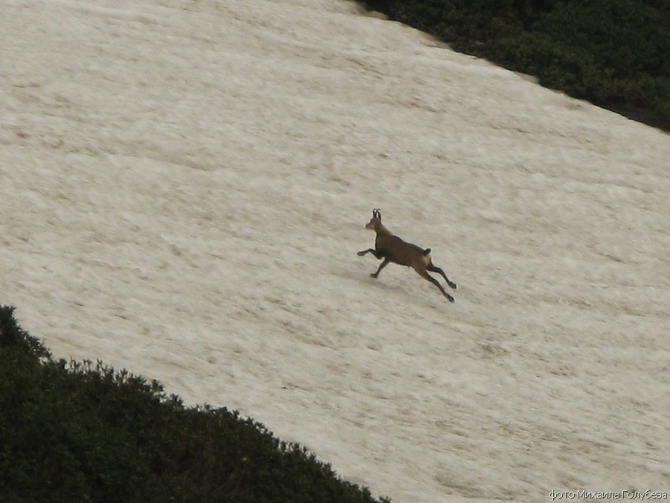 Чугуш - июнь 2008 (Альпинизм, горы, кавказ, красная поляна, ачишхо)