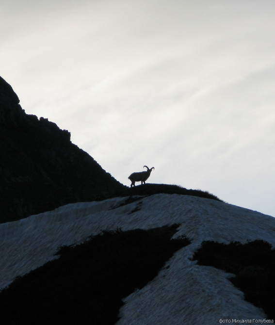 Чугуш - июнь 2008 (Альпинизм, горы, кавказ, красная поляна, ачишхо)