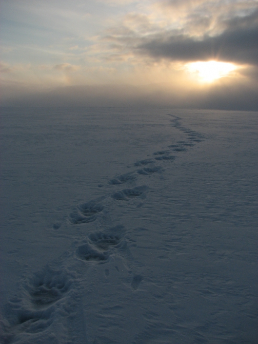 Лыжная экспедиция на Шпицберген. Фотоотчет (лыжный туризм, svalbard, турклуб маи)