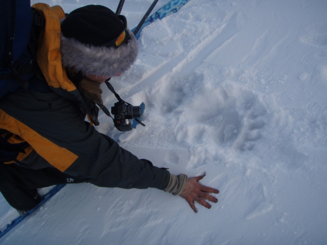 Лыжная экспедиция на Шпицберген. Фотоотчет (лыжный туризм, svalbard, турклуб маи)
