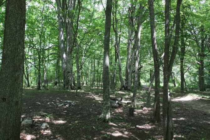 Бесплатный кемпинг для Российского фестиваля скалолазания (Скалолазание, скалолазание, фестиваль, гуамка, краснодарский край, август, фср)