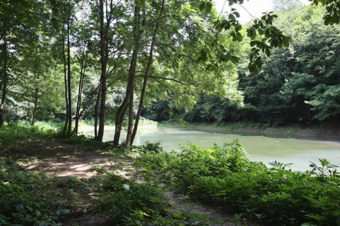 Бесплатный кемпинг для Российского фестиваля скалолазания (Скалолазание, скалолазание, фестиваль, гуамка, краснодарский край, август, фср)