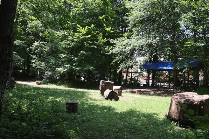 Бесплатный кемпинг для Российского фестиваля скалолазания (Скалолазание, скалолазание, фестиваль, гуамка, краснодарский край, август, фср)