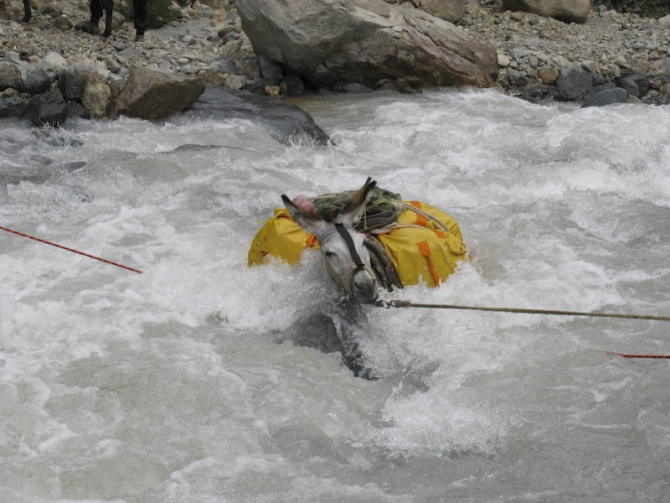 Экспедиция на Пик Чирингяд: новости от команды Волкова (Альпинизм, белые пятна памира, ак маи)