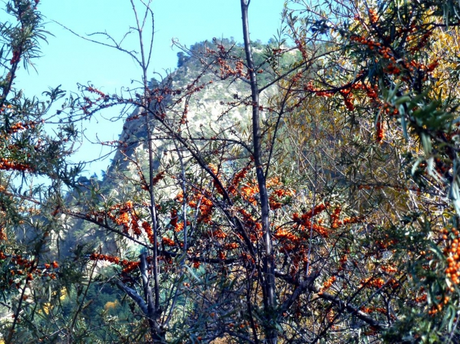 Краски Баксанского ущелья.