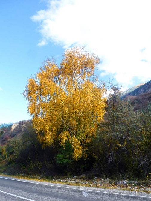 Краски Баксанского ущелья.