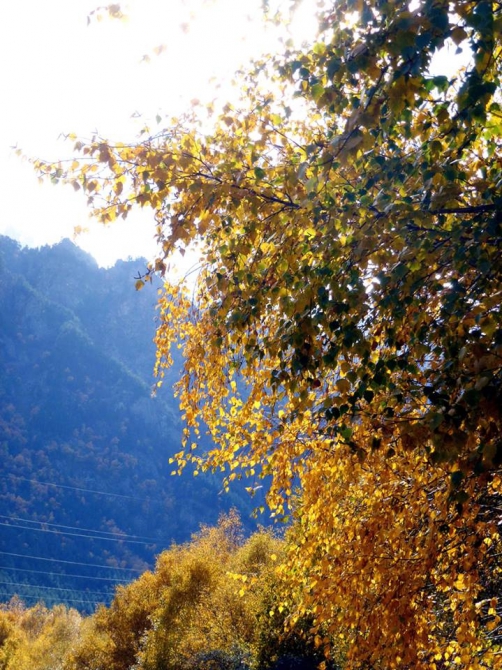 Краски Баксанского ущелья.