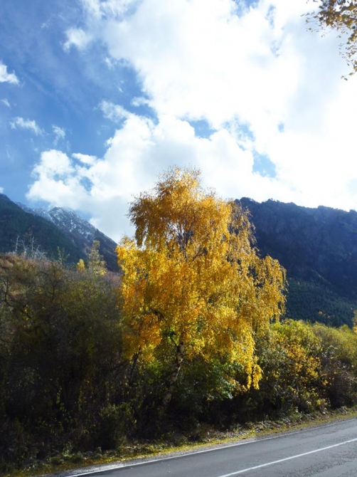 Краски Баксанского ущелья.