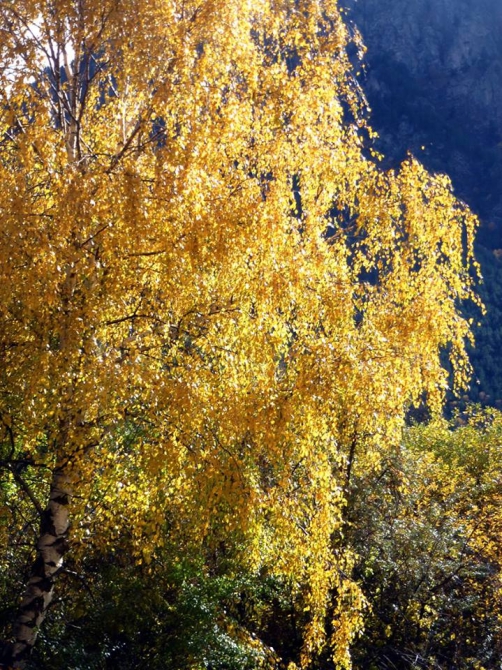 Краски Баксанского ущелья.