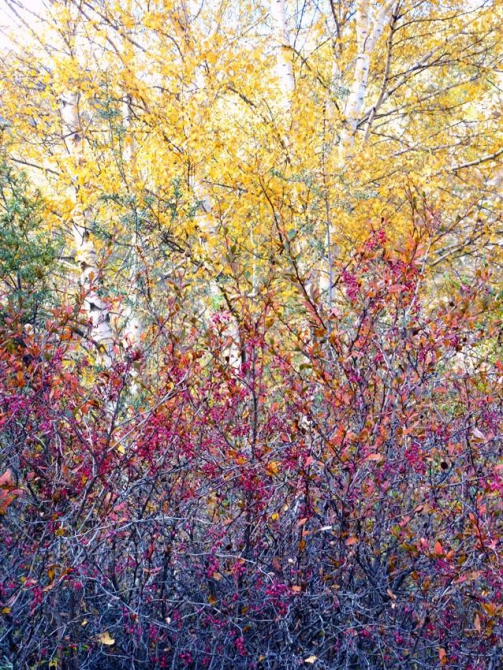 Краски Баксанского ущелья.