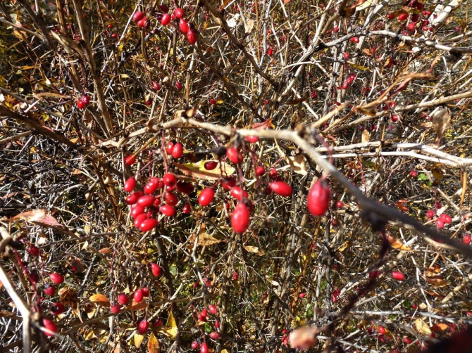 Краски Баксанского ущелья.