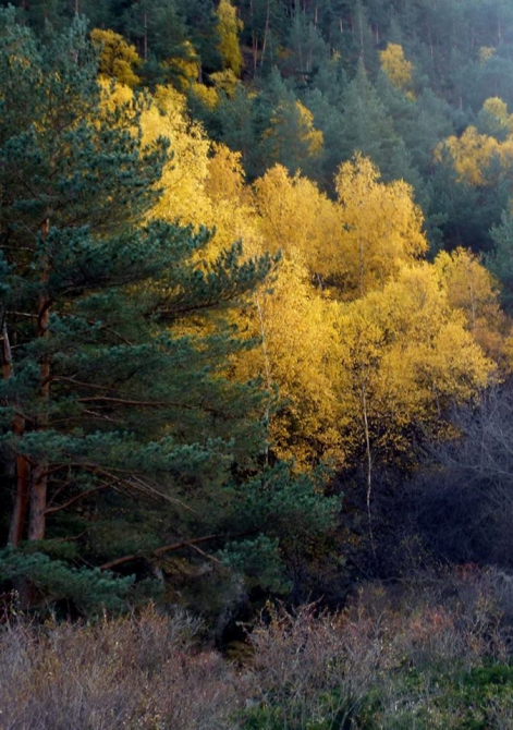 Краски Баксанского ущелья.