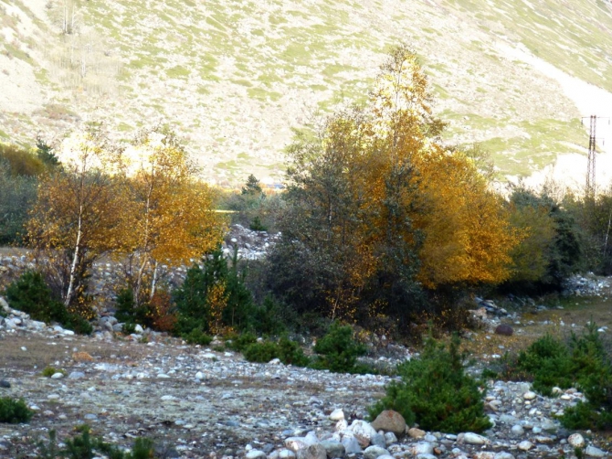 Краски Баксанского ущелья.