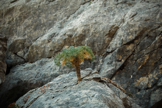 Один день в Крыму (Альпинизм, бейс, бейсджампинг, скалолазание, альпинизм, фрисоло, лазание без страховски, слеклайн, андрей нефедов, сивера)