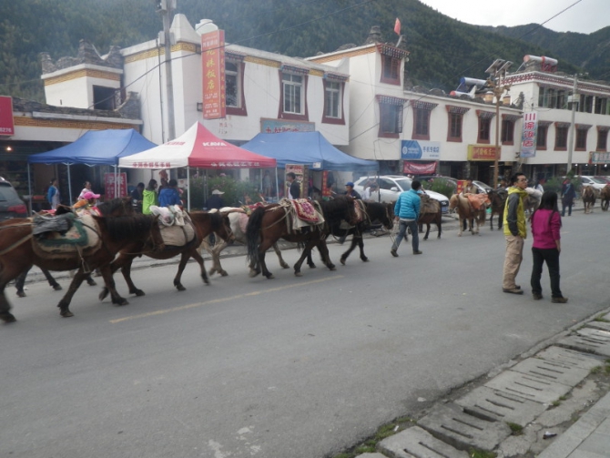 Трекинг в районе массива «Четыре сестры» (Сычуань). (Горный туризм)