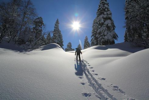 Фрирайд, бэккантри, ски-тур, ски-альпинизм… Одно и тоже? (Горные лыжи/Сноуборд, снаряжение, горные лыжи)