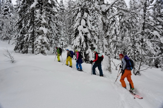 Фрирайд, бэккантри, ски-тур, ски-альпинизм… Одно и тоже? (Горные лыжи/Сноуборд, снаряжение, горные лыжи)