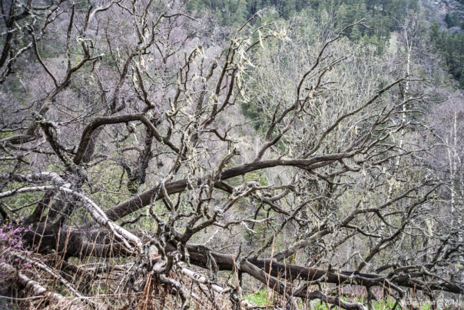 Как мы поМАЙялись. Часть вторая: Шесть невидимых озер (Горный туризм, кавказ, кчр, загедан, горные озёра, ацгара, уруп, загеданка, краснодарский край)