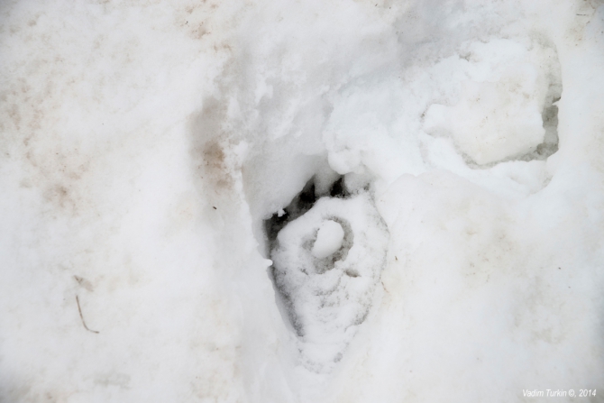 Как мы поМАЙялись. Часть вторая: Шесть невидимых озер (Горный туризм, кавказ, кчр, загедан, горные озёра, ацгара, уруп, загеданка, краснодарский край)