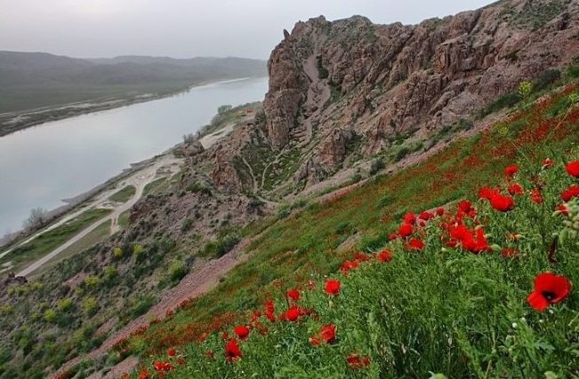 Мы родом из детства (Мультигонки, Владимир Дубовой, Бекабад, Добрянка)