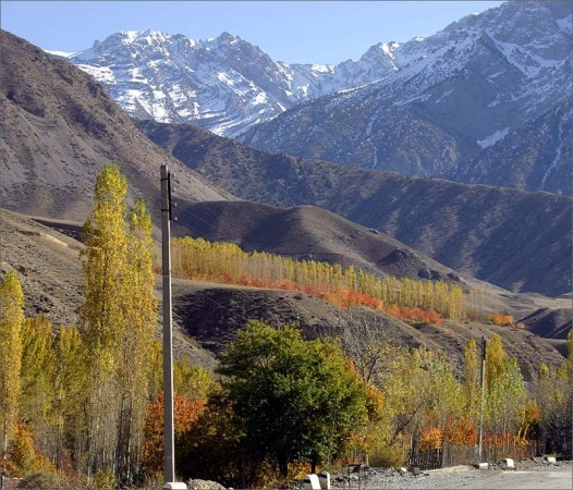 Мы родом из детства (Мультигонки, Владимир Дубовой, Бекабад, Добрянка)