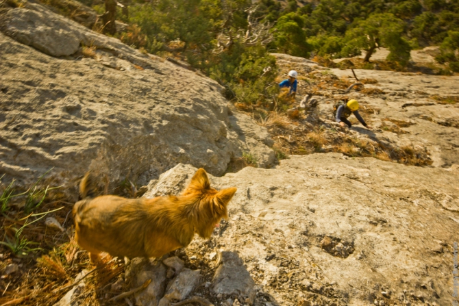 Ноябрьский Сокол. Немного альпинизма (крым, скалы, брошеван, одесса, деревянная тройка, судак, ксс)