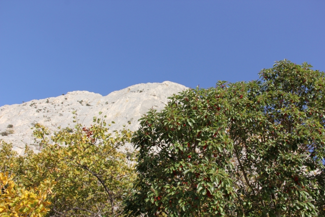 Мшатка. Спасатели работают над ошибками (Альпинизм)