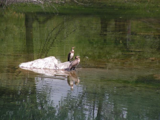 «Страдание – личный выбор каждого» (Мультигонки, Уймон, Сверхмарафон, Мульта)