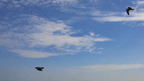 Путешествие, длиною в 12 часов. Чемпионатский Сокол. (Альпинизм, триал-спорт, крым, судак, чемпионат россии по альпинизму, скальный класс, тфа)